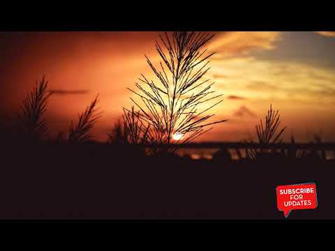 Deep Active Sound feat. Lena Grig - Deviant Behavior (Arthur M & Legion Remix)