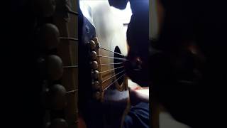 Download lagu Ke jakarta aku akan kembali - KOES PLOES #shorts mp3