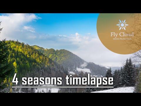 Four seasons timelapse