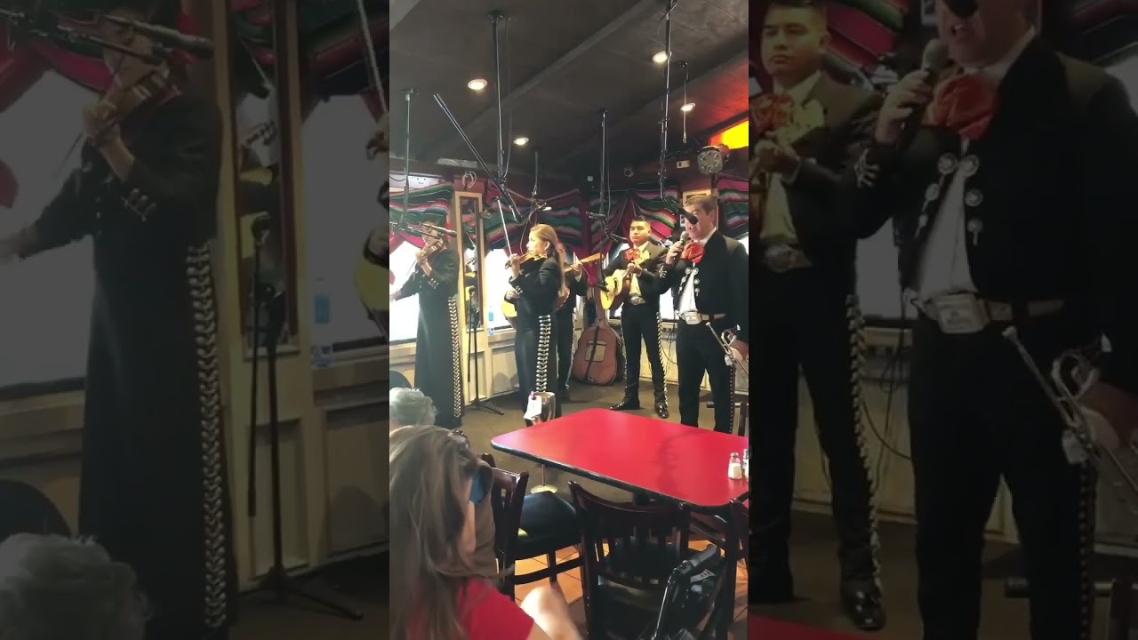 Promotional video thumbnail 1 for Mariachi Alma de California