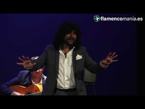 Rancapino Chico por bulerias - #Flamenco 4K - Festival de La Línea - 19 Julio 2022