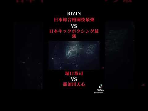総合格闘技VSキックボクシング