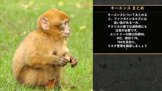 本日の投資注目TOP10【8/26 9:00】