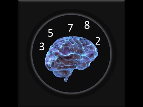 Daily Memory Excercise