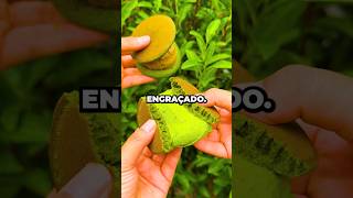 não foi engraçado 😭