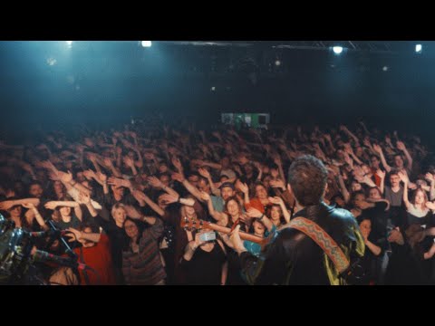 Baba Shrimps - Live - Zürich 28.05.2025