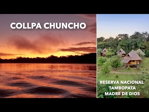 Collpa Chuncho de la Reserva Nacional Tambopata