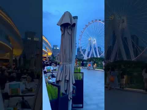 Come to Dubai #youtube #shorts #viral #dubai #beach #beautiful #youtubeshorts #reels #blogger #fyp