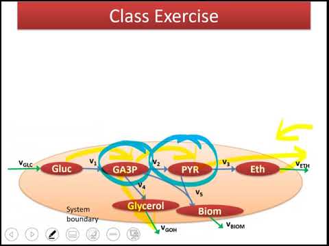 Lecture 2.4 - Metabolic Flux Analysis (MFA) Class Exercise | Genome Scale Metabolic Models