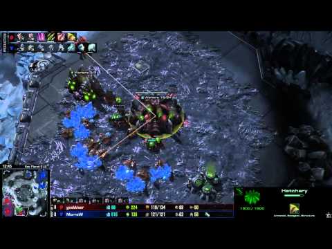 DH VLC 2013 - Morrow vs Goswser G1