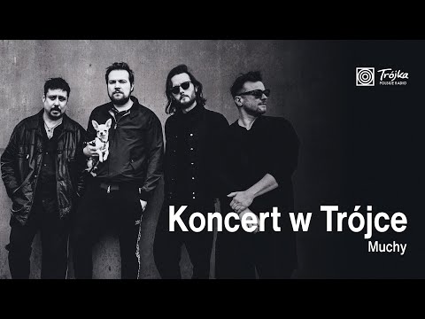 Muchy | Koncert w Trójce