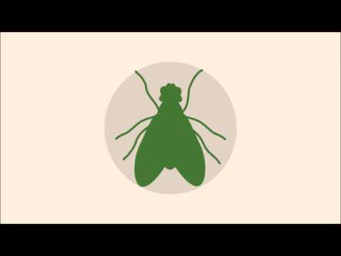 General Mumble - Greenfly
