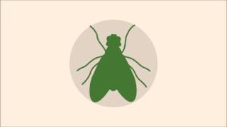 General Mumble - Greenfly