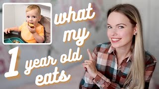 WHAT MY TODDLER EATS IN A DAY: One Year Old Snack & Meal Ideas | Babelio Plates & Bibs Review
