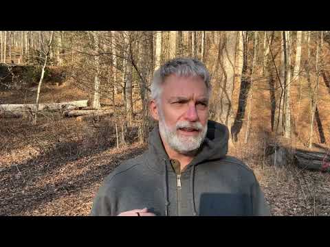 Day 19/  Ways I got out of autopilot/ How I stopped listening to self doubt 