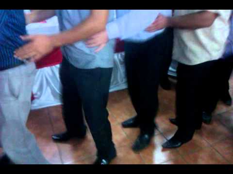 Pinguinul de la orlea