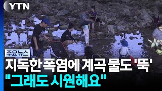 지독한 폭염에 계곡 물도 '뚝'..."그래도 시원해요" / YTN
