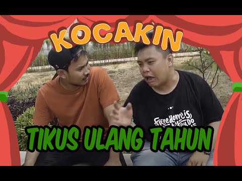 tikus-ulang-tahun