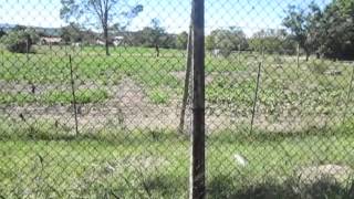 preview picture of video 'Alice Primary School; no more garden'