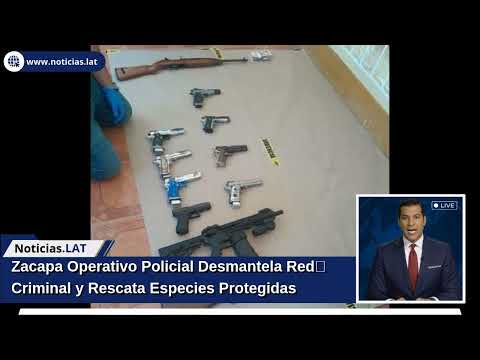 Zacapa: Operativo Policial Desmantela Red Criminal y Rescata Especies Protegidas