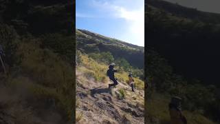 Download lagu Detik-detik Pendaki Terpeleset Di Gunung Merbabu #shorts #gunungmerbabu mp3