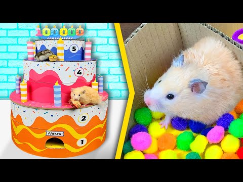 Hamsters in a 5 - Level Cake - Maze