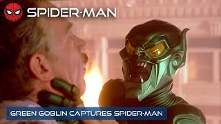 Spider-Man (2002) Video