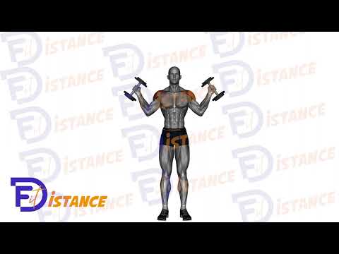 W Press avec haltères - Exercice W Press avec haltères en vidéo