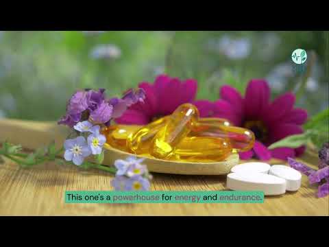 Unlocking the Power of Adaptogens for Ultimate Wellness