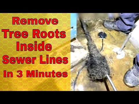 Remove Tree Roots In Sewer Line In 3 Minutes