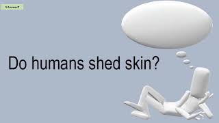 Do Humans Shed Skin?