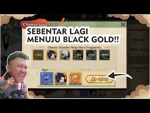🔥🔥🔥SASUKEKU SUDAH SAMPAI RAINBOW PLUS...‼️| Battle of Shadow