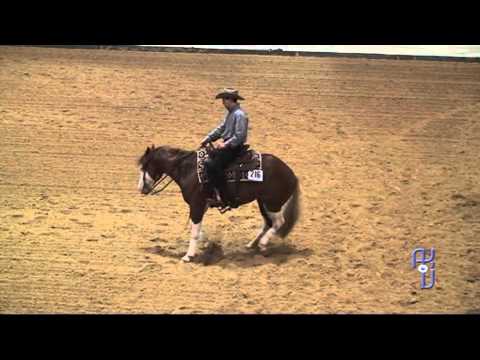 BSC 2013 NRHA Trophy Open Colonels Shining Gun Alessandro Frassa