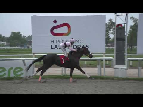 231102 C10 - GENUINA - HIPODROMO LAS PIEDRAS