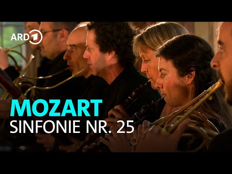 Mozart - Sinfonie Nr. 25 g-Moll KV 183 | Lorenza Borrani | Freiburger Barockorchester | BR-KLASSIK