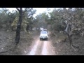 Top 10 Wildlife Resorts In India