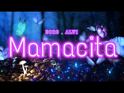 BORO x ALVI - MAMACITA (prod.𝐃𝐈𝐑𝐓𝐘 𝐒𝐎𝐔𝐓𝐇)