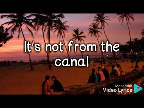 Dimelo Flow x Sech x Tyga J.I Girl like you (Lyrics )