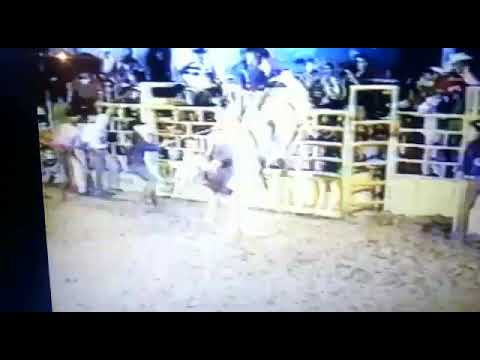 lendas do rodeio rogerio ferreira 🐂👊