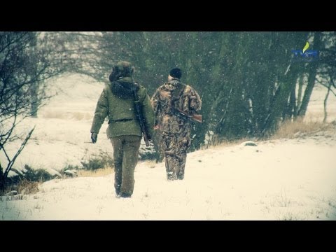 Darz Bór odc. 49 - Polowanie na lisa