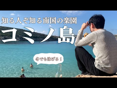 コミノについて詳しく解説