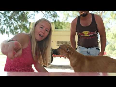 Wie AUSGESTORBEN | der mittlere Norden Mexikos | COAHUILA S3•E16