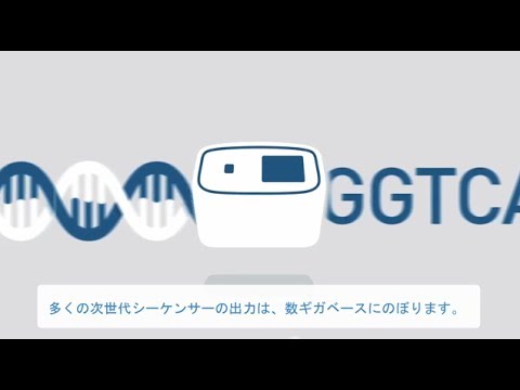 シーケンスアライメントについて詳しく解説