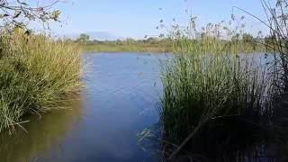 DREAMS  IRWD San Joaquin