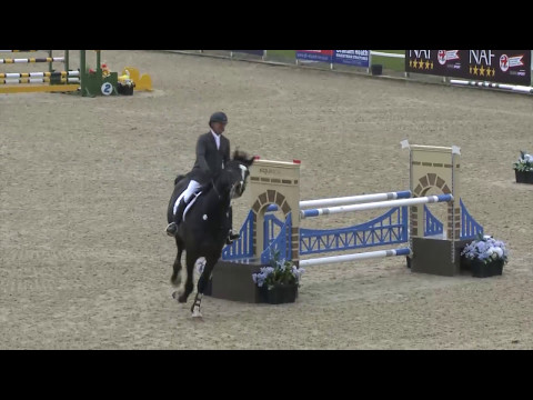 Chepstow International CSI2* - Day 3 - Class 16 CSIYH1* 5 Year Old Grand Prix