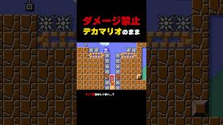デカマリオのままダメージを受けずに隙間に入れ！【マリオメーカー2】
