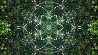 KALEIDOSCOPE (Nils Frahm - Says)┃Unofficial Music Video