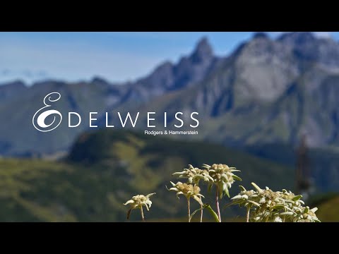 "Edelweiss" (Rodgers & Hammerstein) from The Sound of Music - A CHOIRANTINE Tribute