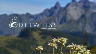&quot;Edelweiss&quot; (Rodgers &amp; Hammerstein) from The Sound of Music - A CHOIRANTINE Tribute