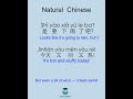 Natural Chinese Learnchinese Learnmandarin Chinese Mandarin Pinyin Chineseclass Chineselearning